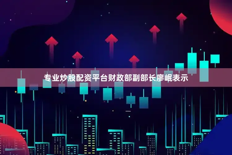 专业炒股配资平台财政部副部长廖岷表示