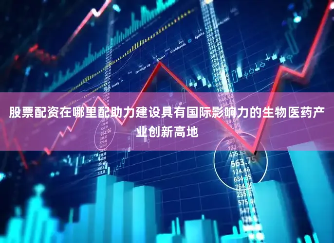 股票配资在哪里配助力建设具有国际影响力的生物医药产业创新高地